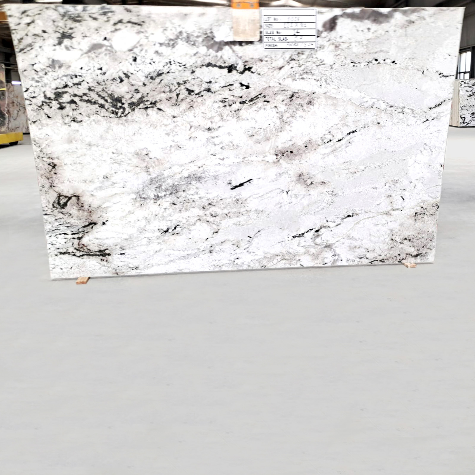 Epic white granite slab